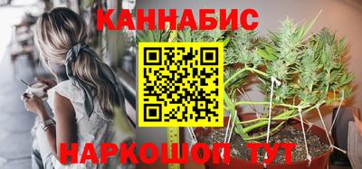 амф Новозыбков