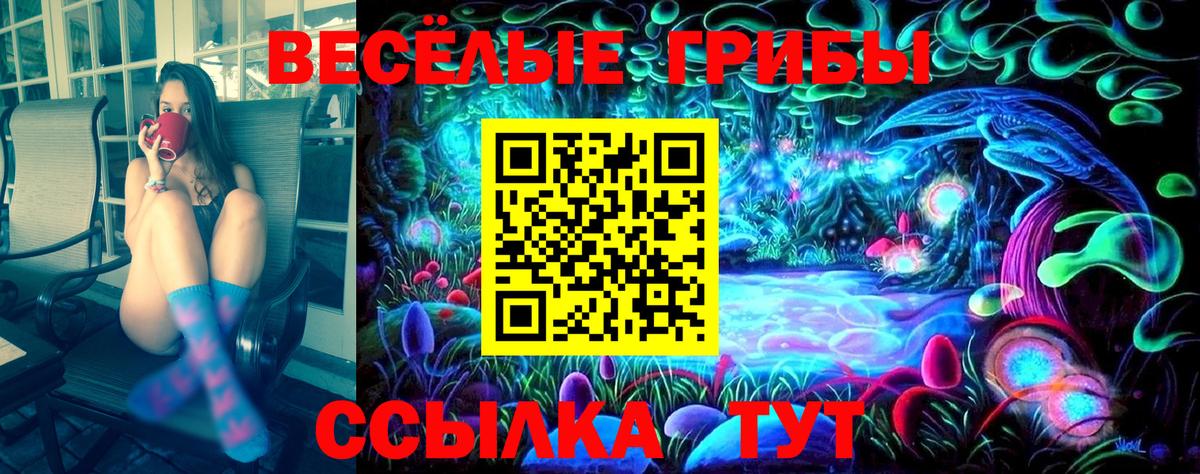 Псилоцибиновые грибы MAGIC MUSHROOMS Торжок